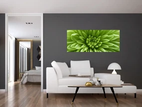 Obraz - Makro snímka rastliny (120x50 cm)