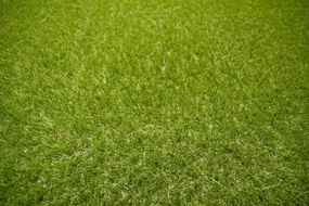 Umelá tráva Star zelená