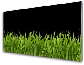 Skleneny obraz Zelená tráva príroda 100x50 cm