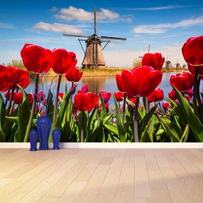 Fototapeta Vliesová Veterné mlyny v holandsku 312x219 cm