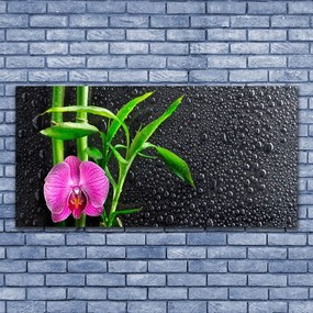 Obraz plexi Bambus kvet kvapky 120x60 cm
