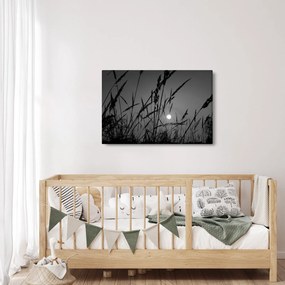 Obraz - Lúka so západom slnka (90x60 cm)