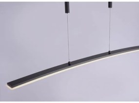 Paul Neuhaus 2530-13 - LED Stmievateľný luster na lanku JANINA LED/27W/230V