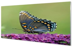 Obraz na akrylátovom skle Farebný motýľ na kvety 140x70 cm