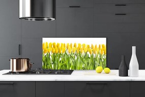 Sklenený obklad Do kuchyne Tulipány kvety príroda 140x70 cm