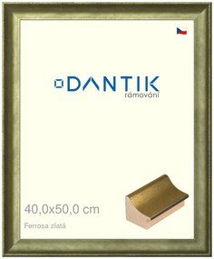 DANTIK rám na obraz 40x50 | Ferrosa zlatá (Plexi Čiré)