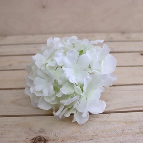 Kvet hortenzie biela, 6 ks 371194-01