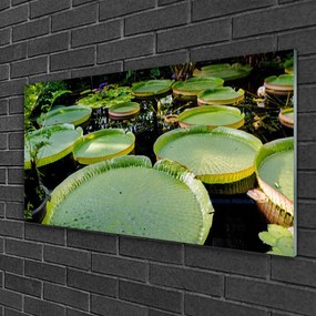 Skleneny obraz Listy jazero príroda 125x50 cm