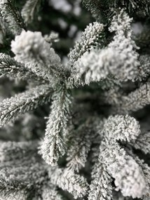 Limpol Vianočný stromček zasnežená jedľa Renata Výška stromčeka: 150 cm