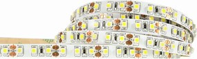 ECOLIGHT LED pásik 9,6 W/m studená farba 6500 K 600 lm/m 12 V DC IP20 1 m