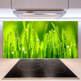 Sklenený obklad Do kuchyne Zelená tráva kvapky rosy 140x70 cm