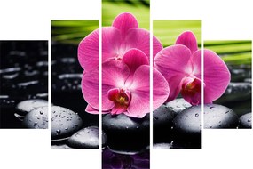 Obraz - Ružové orchidey s palmovým listom (150x105 cm)
