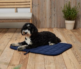 Psia deka do exteriéru