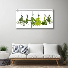 Obraz Canvas Listy príroda byliny 140x70 cm
