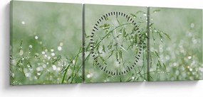 Obraz - Rosa v tráve (s hodinami) (90x30 cm)