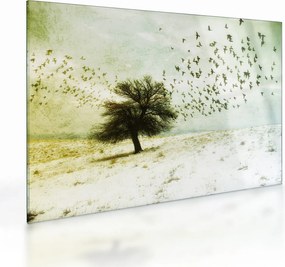 Sklenený obraz - Maľovaný kŕdeľ vtákov (70x50 cm)