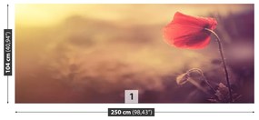 Fototapeta Vliesová Makový kvet 152x104 cm