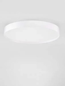 LED stmievateľné biele moderné stropné svietidlo Roi 50