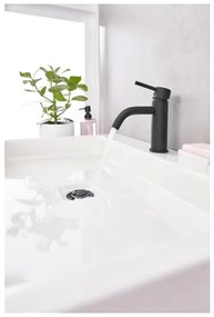 Livarno home Umývadlová batéria (čierna)  (100385364)