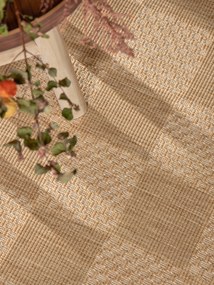 Ted Baker, Kusový koberec Ted Baker Haringey 106386 Natural White, 80x200, béžová, chodba / predsieň
