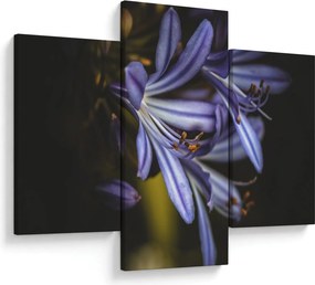 Obraz - Lila (90x60 cm)