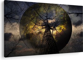 Obraz - Záhadné nebo (90x60 cm)
