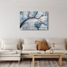 Obraz zasneženého stromu pri vode (90x60 cm)
