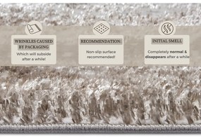 Koberec v béžovo-striebornej farbe 200x280 cm Shine Classic – Hanse Home