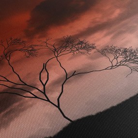 Obraz - Mesiac osvetľujúce noc (90x60 cm)