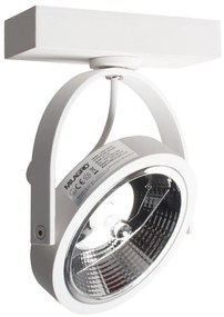 Nástenné bodové svietidlo LUGAR 1xAR111 - GU10/25W/230V