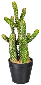 Gasper Umelý kaktus Euphorbia, 25 cm