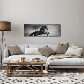 Obraz - Kôň čiernobiely (s hodinami) (90x30 cm)