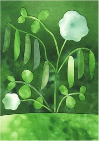 Plagát 50x70 cm Peas in Bloom – Anna Ravn Bjørn – The Poster Club