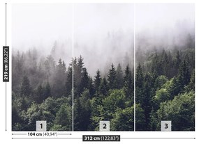 Fototapeta Vliesová Horský les 312x219 cm