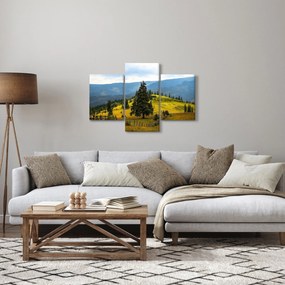 Obraz - Horská lúka (90x60 cm)