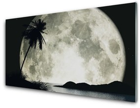 Obraz na skle Noc mesiac palma krajina 125x50 cm