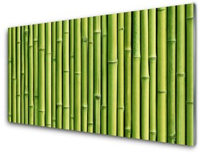 Skleneny obraz Bambus rastlina príroda 100x50 cm