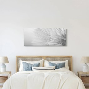 Obraz - Púpava (120x50 cm)