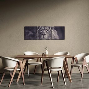 Obraz leva (s hodinami) (90x30 cm)