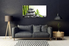 Skleneny obraz Bambus kamene zen umenie 140x70 cm