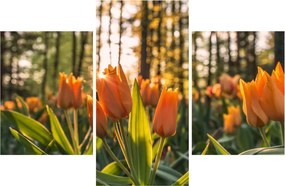 Obraz - kvety tulipánov (90x60 cm)