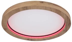 Globo 41374-24R - LED RGBW Stmievateľné stropné svietidlo BRANZA LED/24W/230V + DO