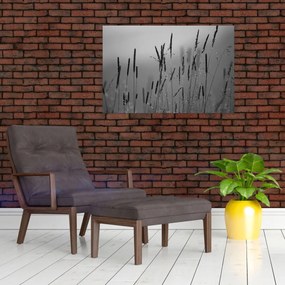 Obraz - Steblá trávy (90x60 cm)