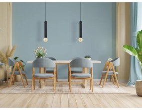 LED Luster na lanku TUBA 1xGU10/20W/230V čierna