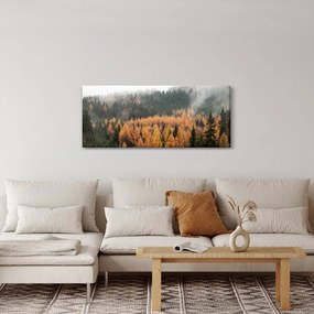 Obraz - Jesenný les (120x50 cm)