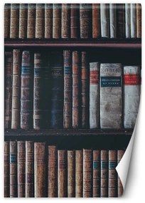 Fototapeta, Regál s knihami - 100x140 cm