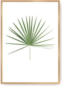 Plagát Tropical Leaf Green