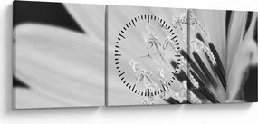 Obraz - Čiernobiely kvet (s hodinami) (90x30 cm)