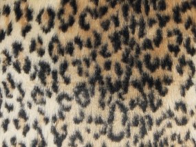 Sada 2 vankúšov z umelej kožušiny s leopardím vzorom 45 x 45 cm hnedá FOXTAIL Beliani