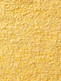 Koberec Ted Baker Notting Hill Portobello Yellow